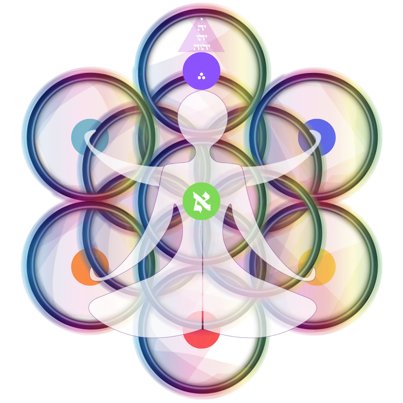 Sabiduría Holistica